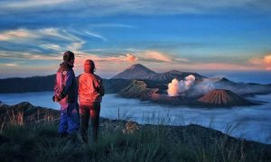 Bromo-1 1