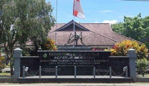 nyamuk a