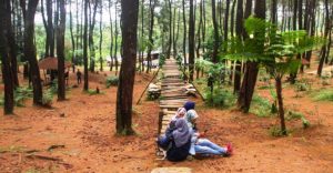 wisata