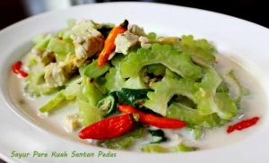 SAYUR PARE KUAH SANTAN a