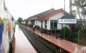 cicurug a