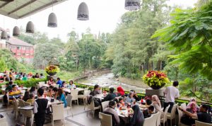 cimory