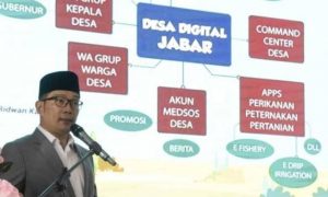 desa a