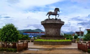 kuda-kuningan-3