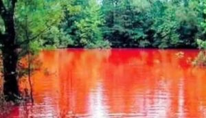 merah a