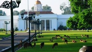 Istana-Bogor a