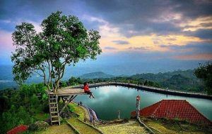 JOGYA A