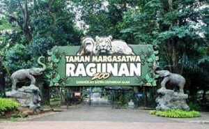 kebun rangunan
