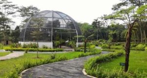 kebun raya indrokilo