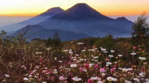 prau a
