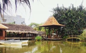 saung telaga a