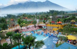 the-jungle-water-adventure a