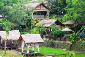 taman indieA