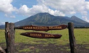 TAMAN A