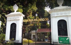 Kebun-Raya-Bogor a