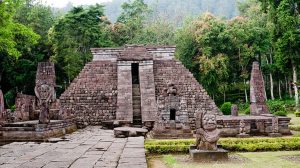 CANDI