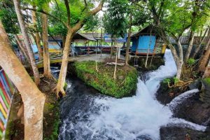 tirta