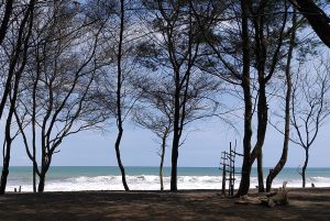 bantul