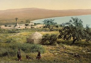 nabi