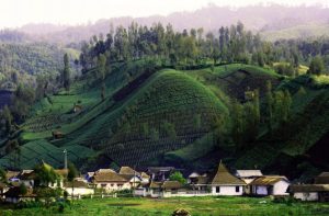 ranu