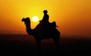 abu