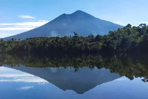 biru