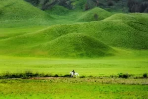 bromo