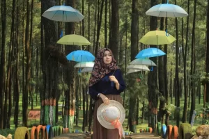 bumi