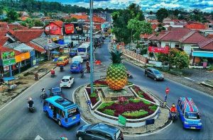 buuk