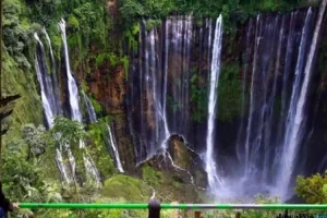 coban