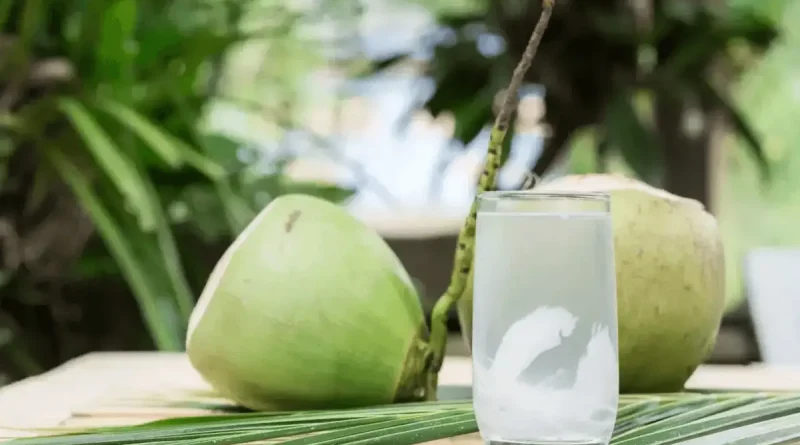 MINUM AIR KELAPA TE3RASA SEGAR, BERAPA LAMA AIR KELAPA TAHAN DISIMPAN DIKULKAS