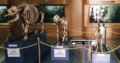 ADA 5 MUSEUM DIDEKAT STASIUN BOGOR WAJIB DIKUNJUNGI DAN BISA BERJALAN KAKI