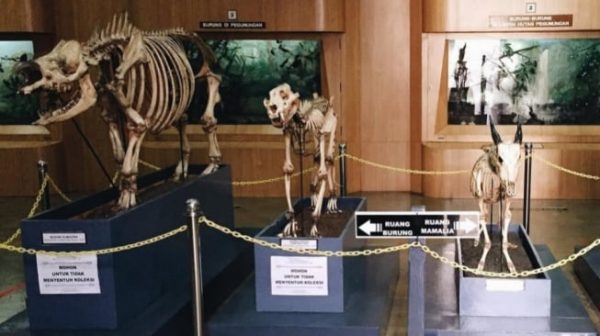 ADA 5 MUSEUM DIDEKAT STASIUN BOGOR WAJIB DIKUNJUNGI DAN BISA BERJALAN KAKI