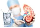 PEMICU BATU GINJAL, BENARKAH CUMA KURANG MINUM AIR PUTIH ?
