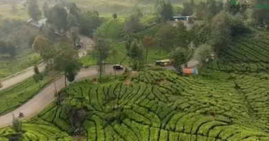 ASAL USUL NAMA CIWIDEY, DIAMBIL DARI NAMA BENDA UNTUK PENANGKAP IKAN